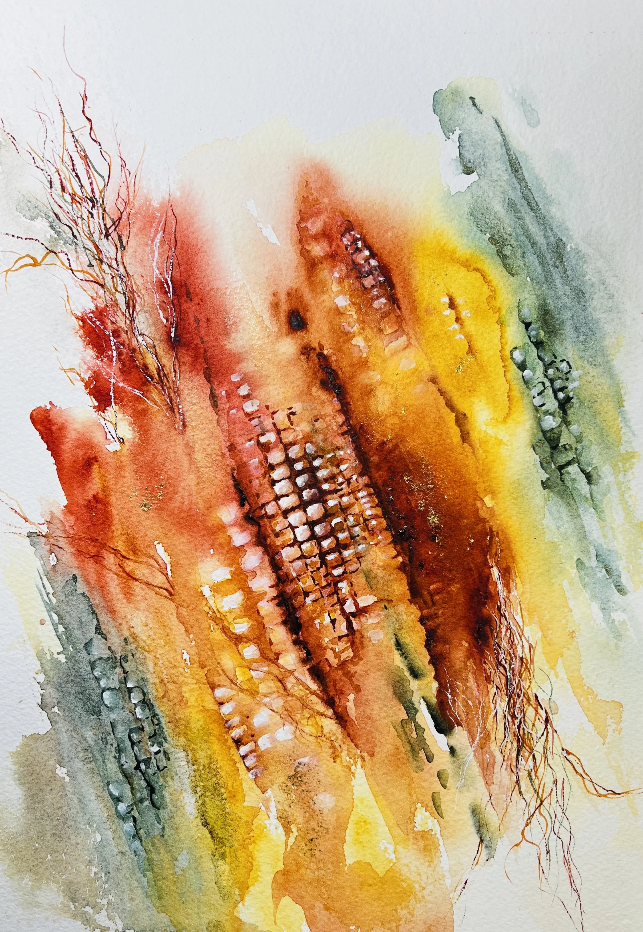 Gloria Walker - Fall Corn Cobs - watercolor - GAW550 -	$250	