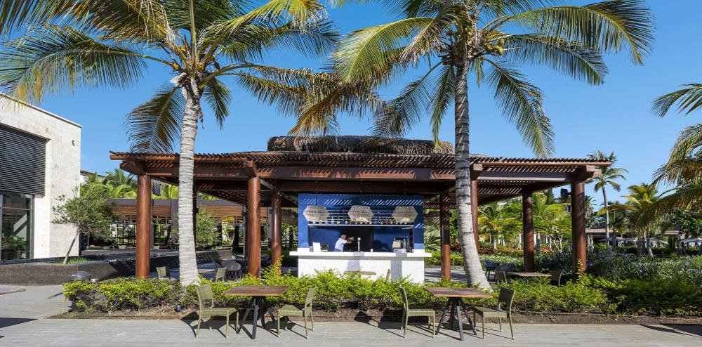494-1000-bar-atlantico-lopesan-costa-bavaro-punta-cana.jpg