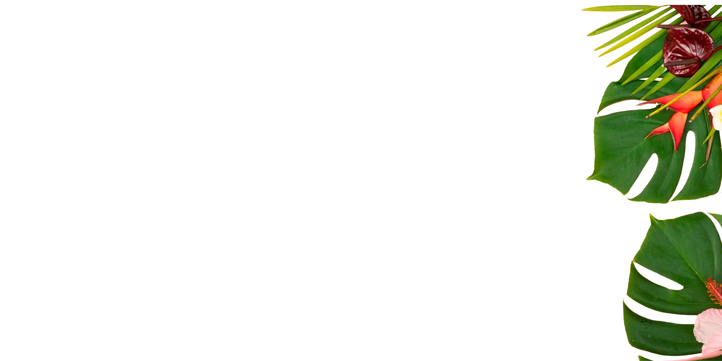 joshua-paityn-s-wedding-bluesun-weddings