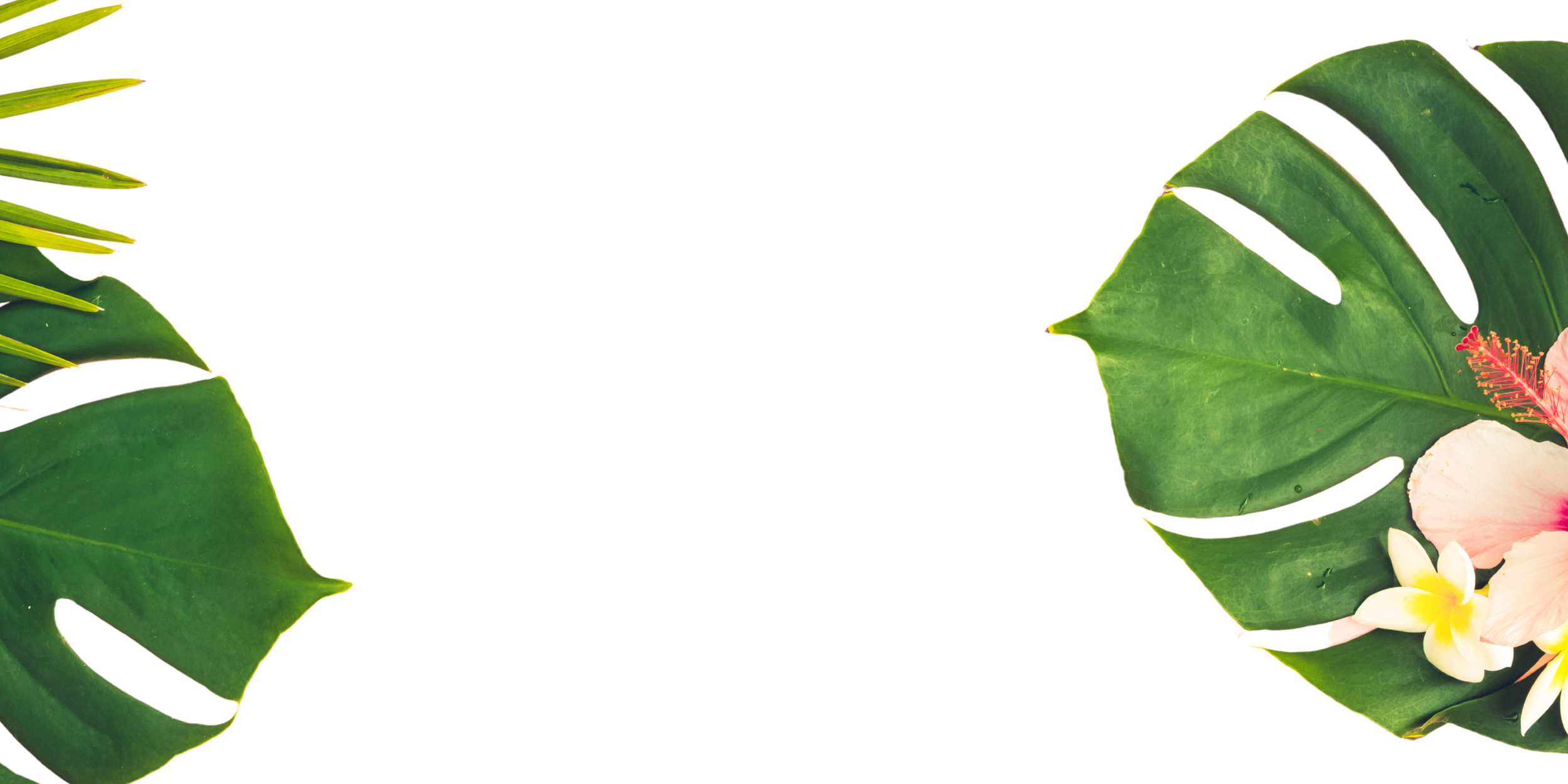 Branden & Tabatha's Wedding — BlueSun Weddings