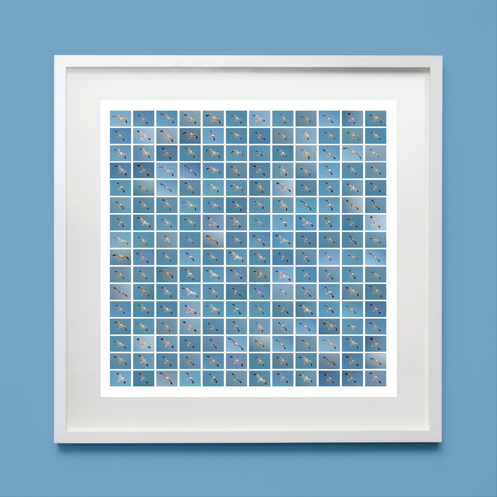 Flock of Seagull framed.jpg