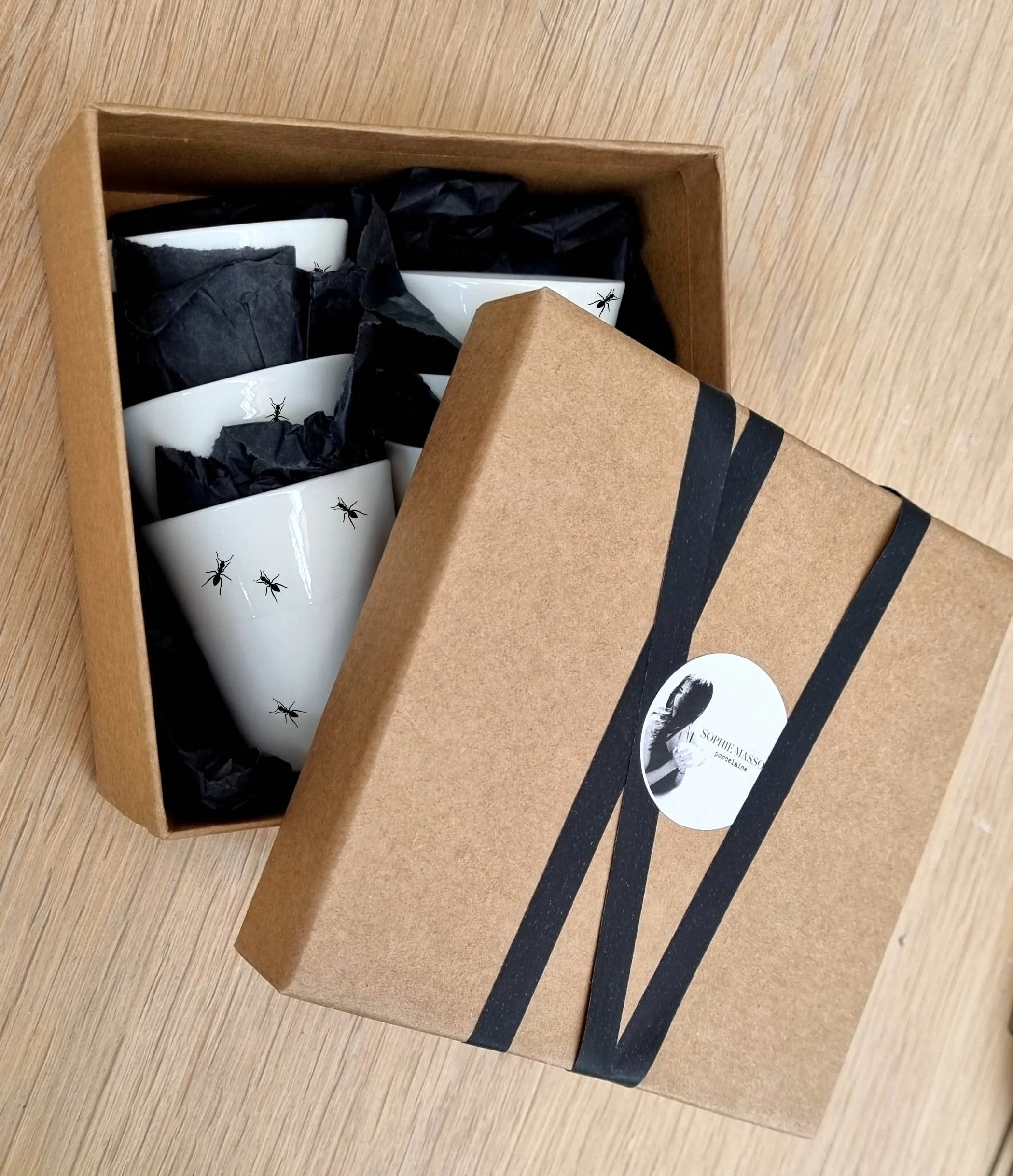 coffret-fourmis.jpg