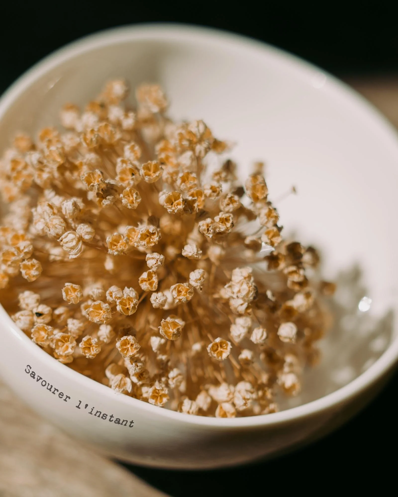 Sophie Masson-petit-bol-ext-.jpg