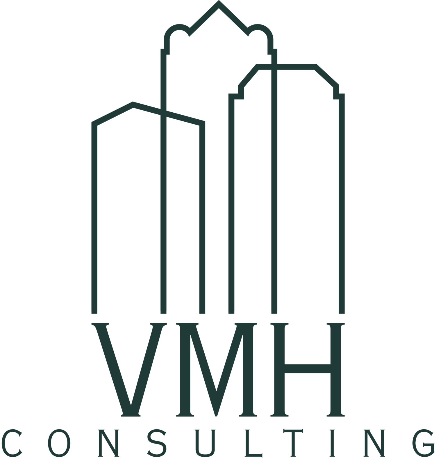 VMH Consulting
