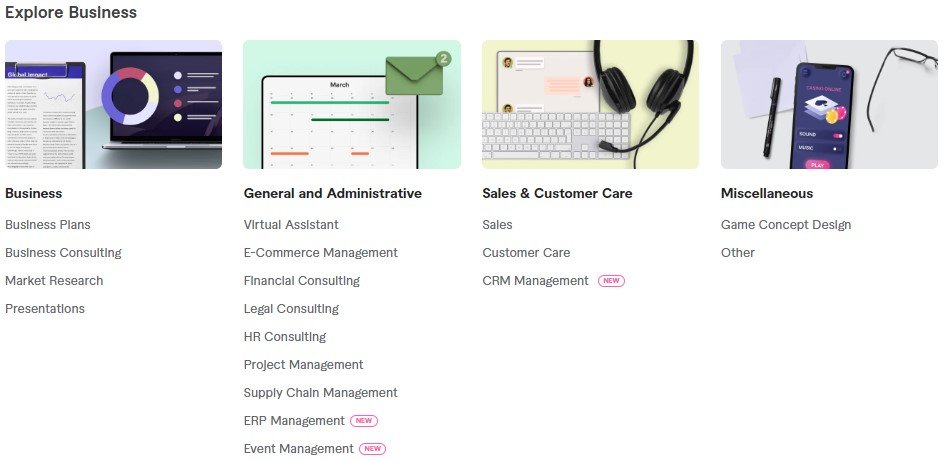 Summary of Fiverr Business Support Services