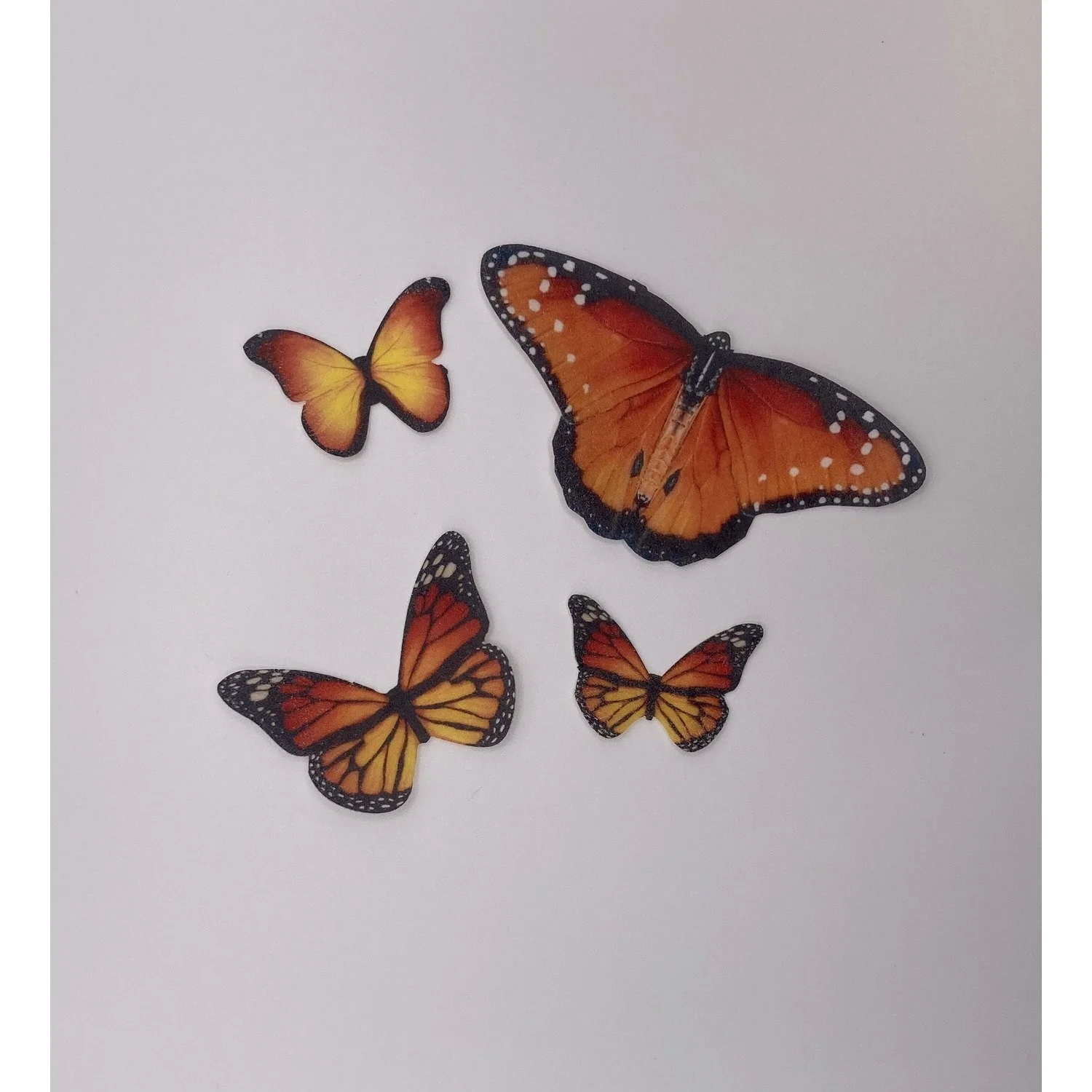 Orange Wafer Edible Butterflies