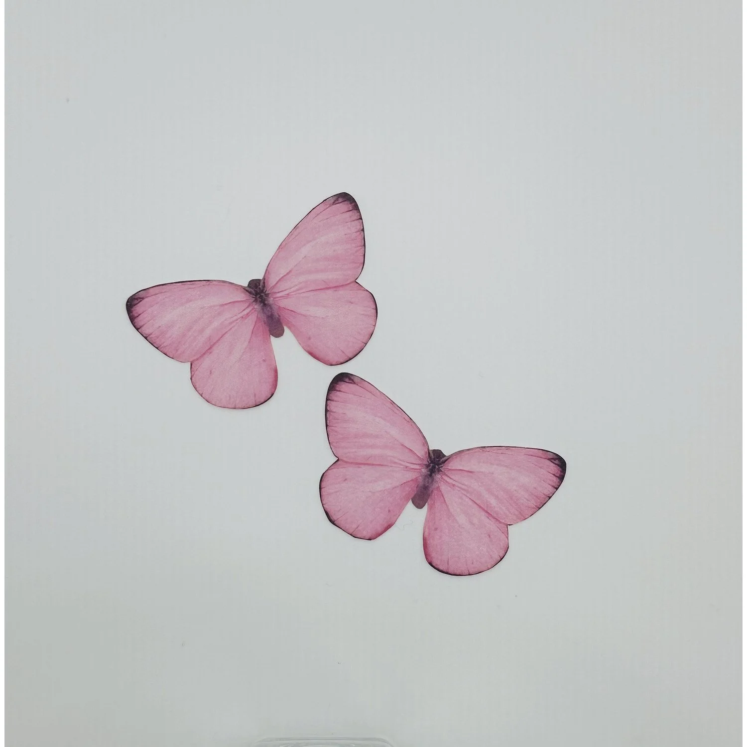 Baby Pink Wafer Edible Butterflies (Approx 24)