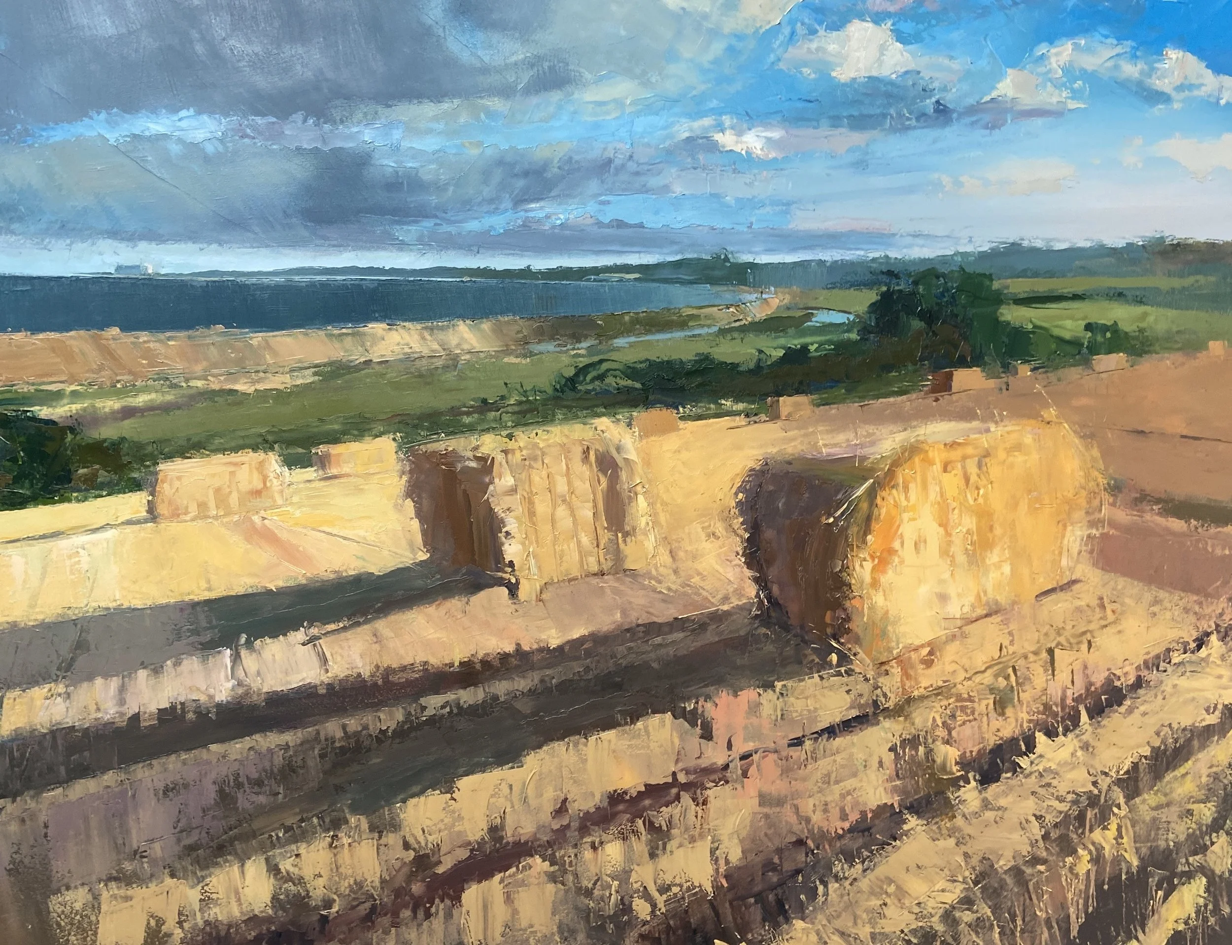 david riches.Manor Field WalberswickJPG.JPG