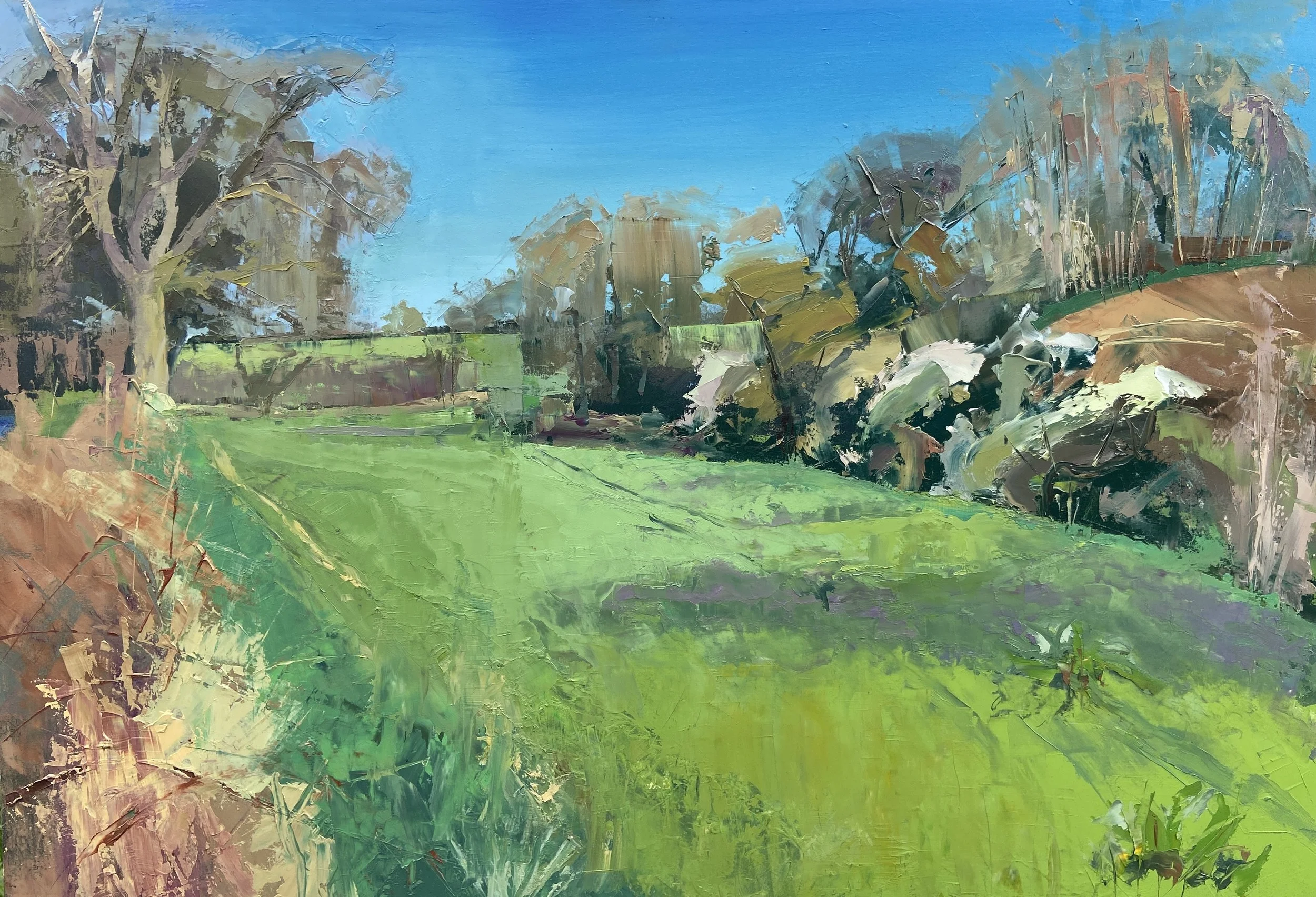 david riches.Spring field with BossomPG.JPG