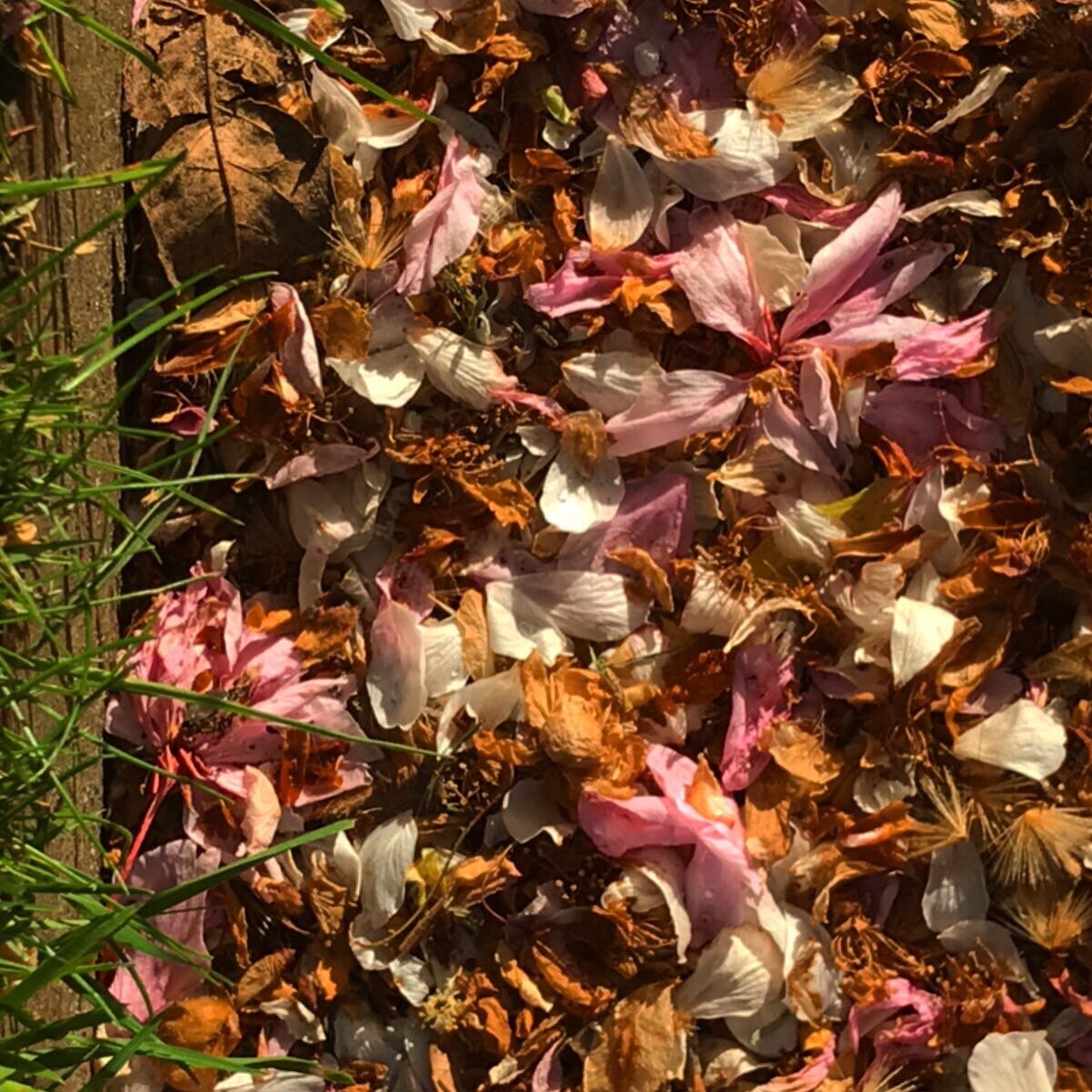 How to support someone returning to work after Covid