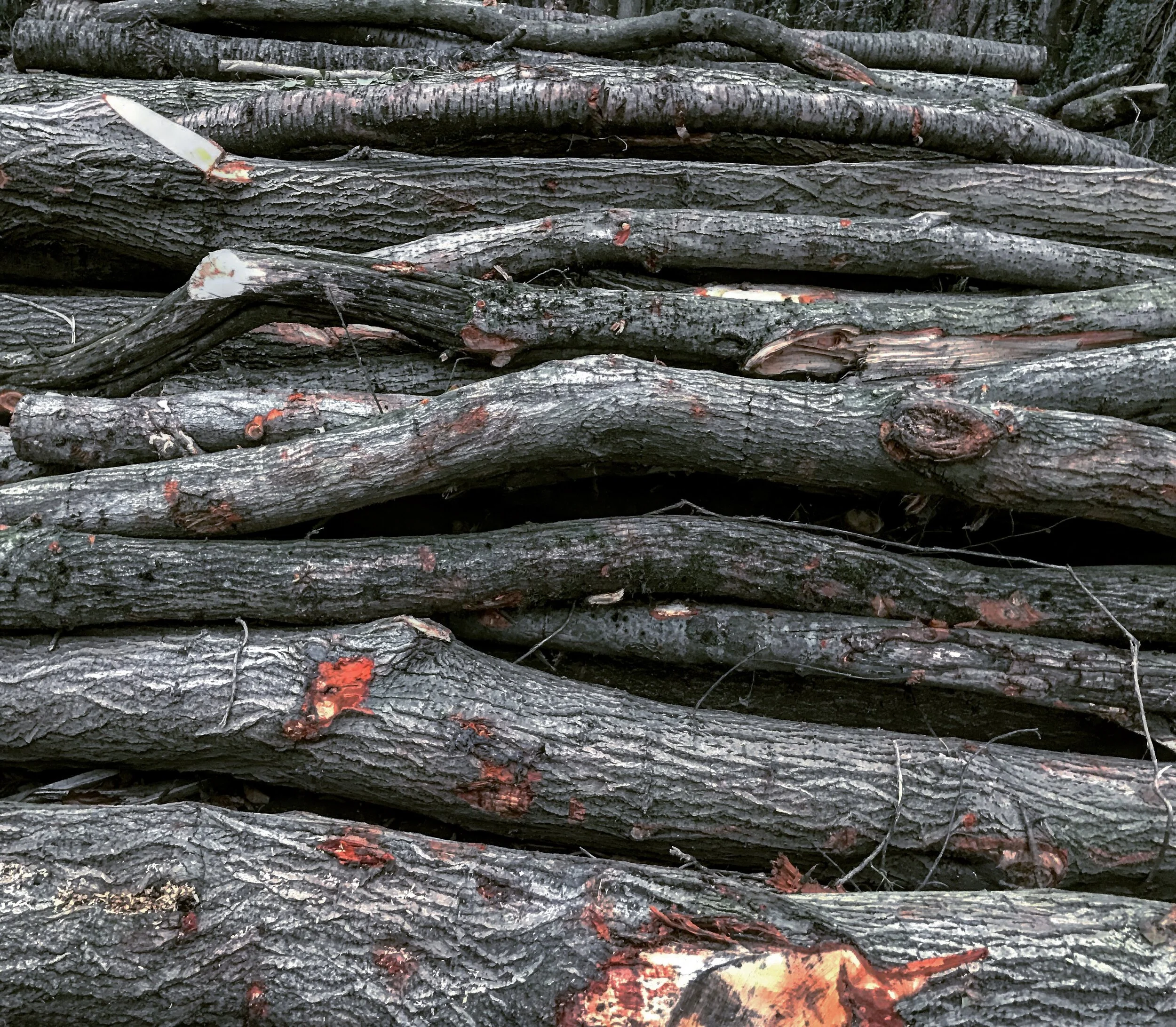 The chemistry of change