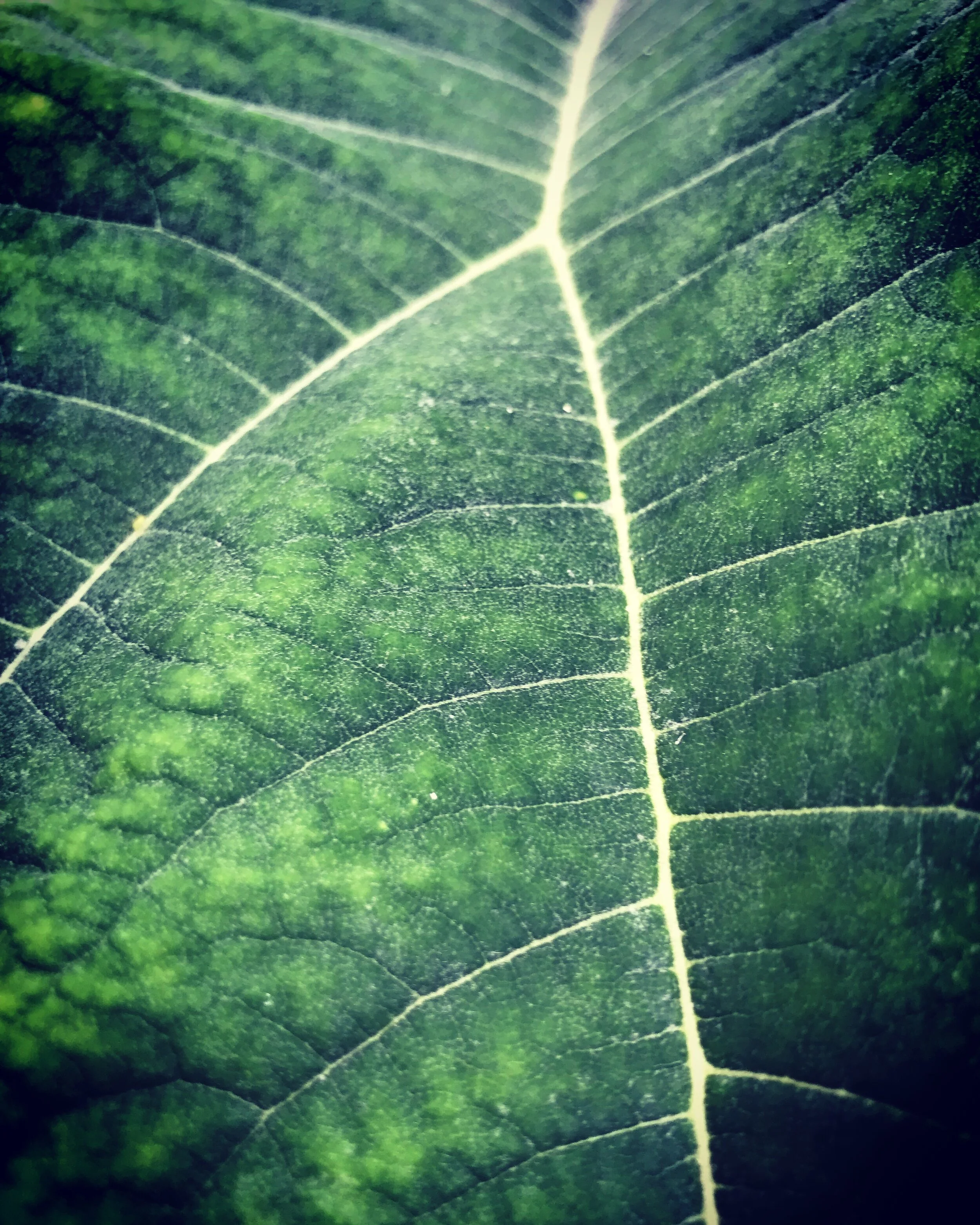 How do we reflect on a year like 2020?