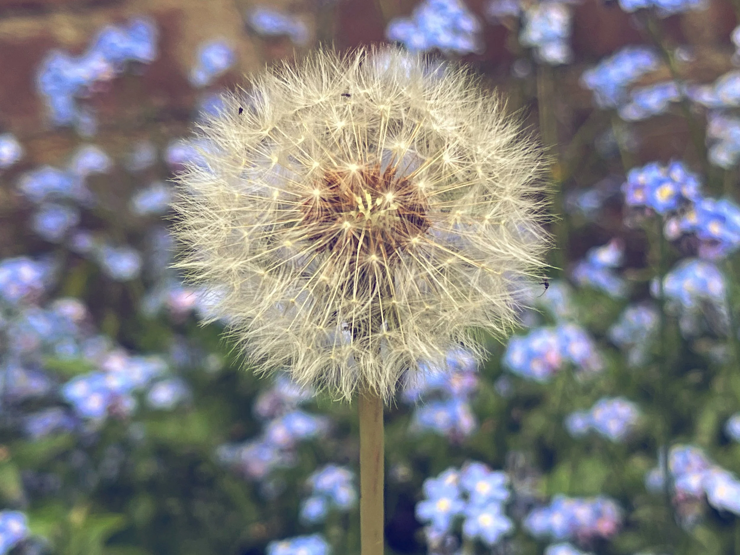 Verbalise your strengths with the 'Dante because' approach