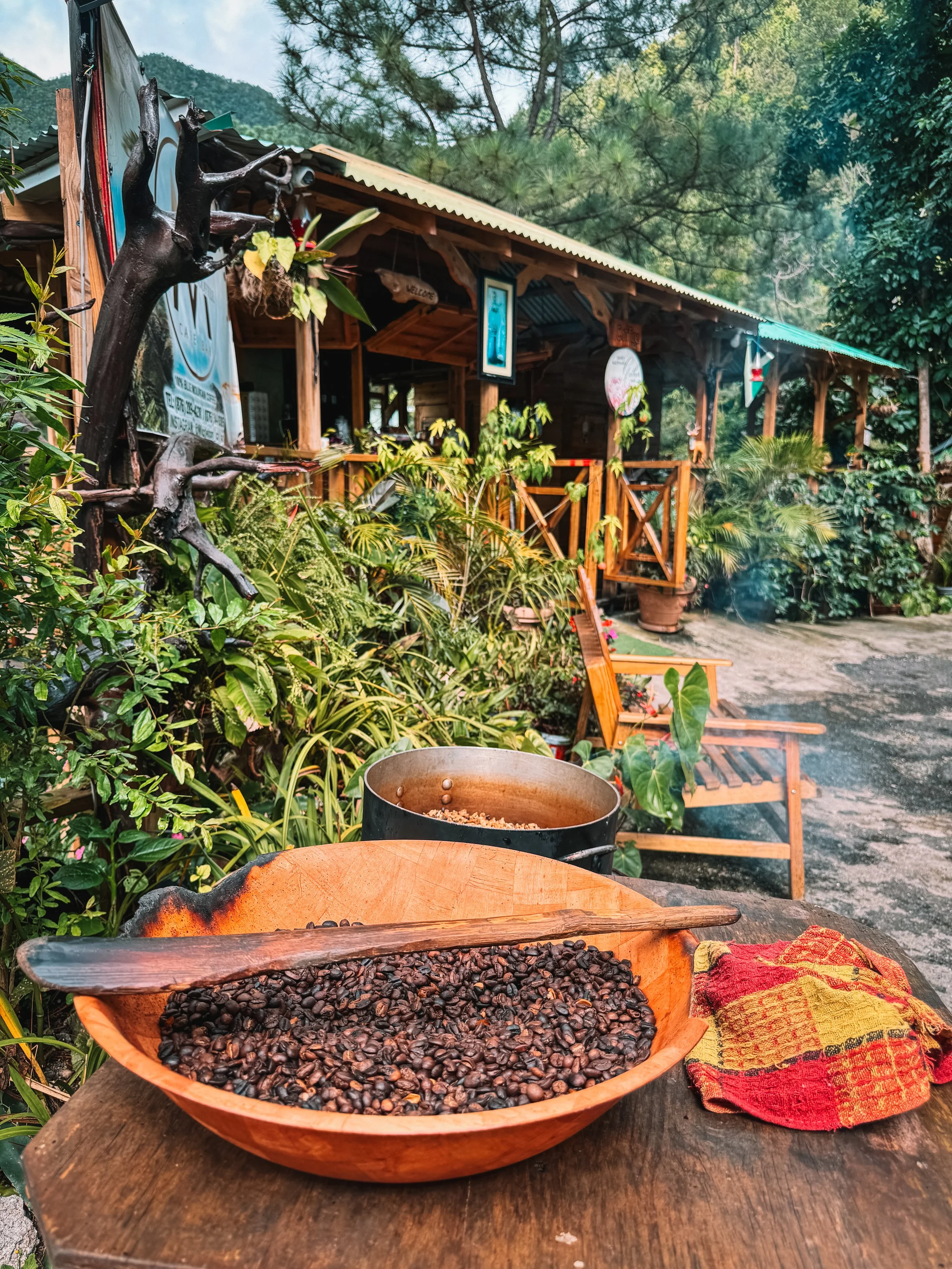 TravelwithToniann can help you find some of Jamaica's hidden gems. Come