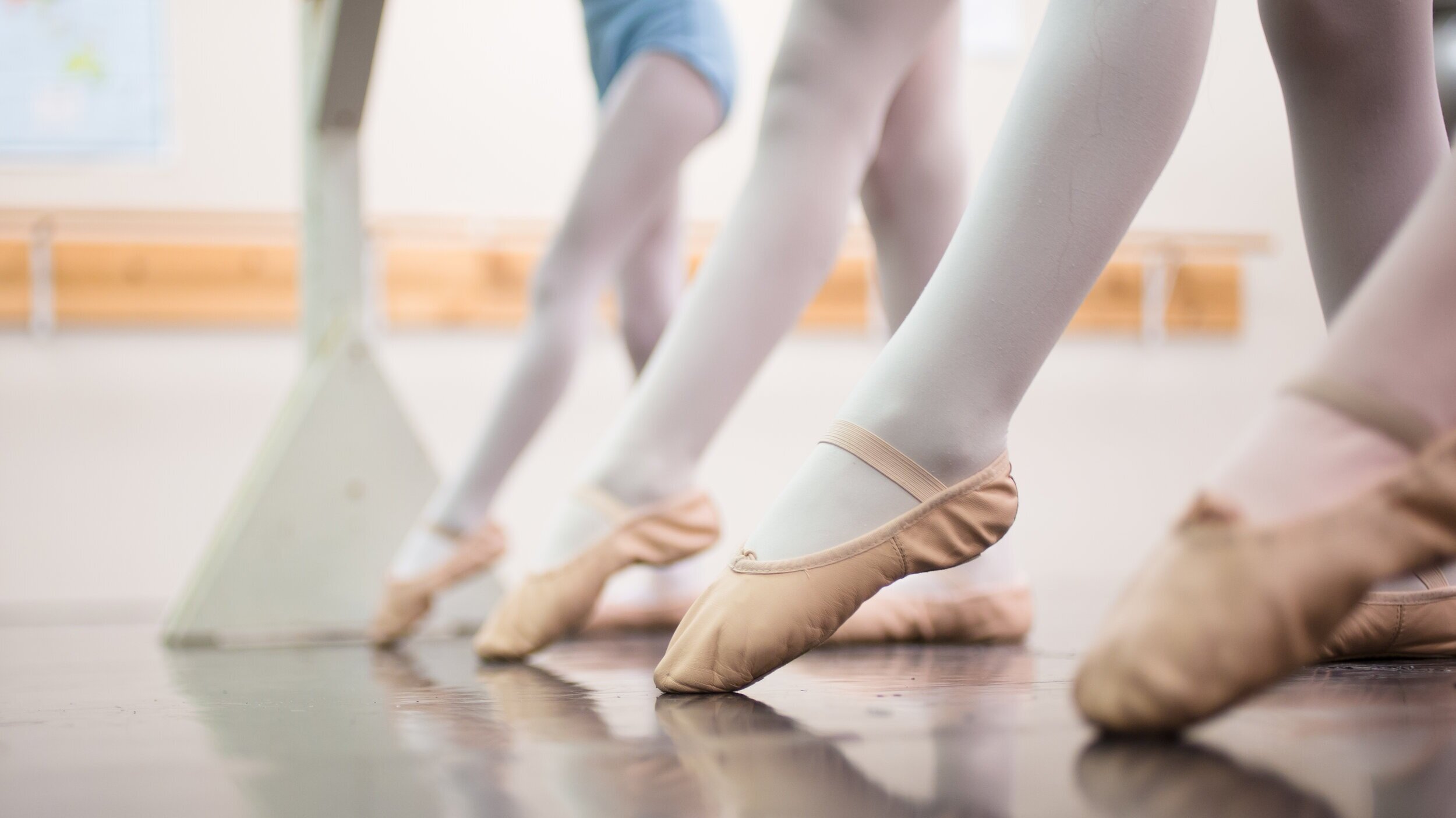 specielt hinanden Græder Ballet Slippers Explained — School of Ballet 5:8