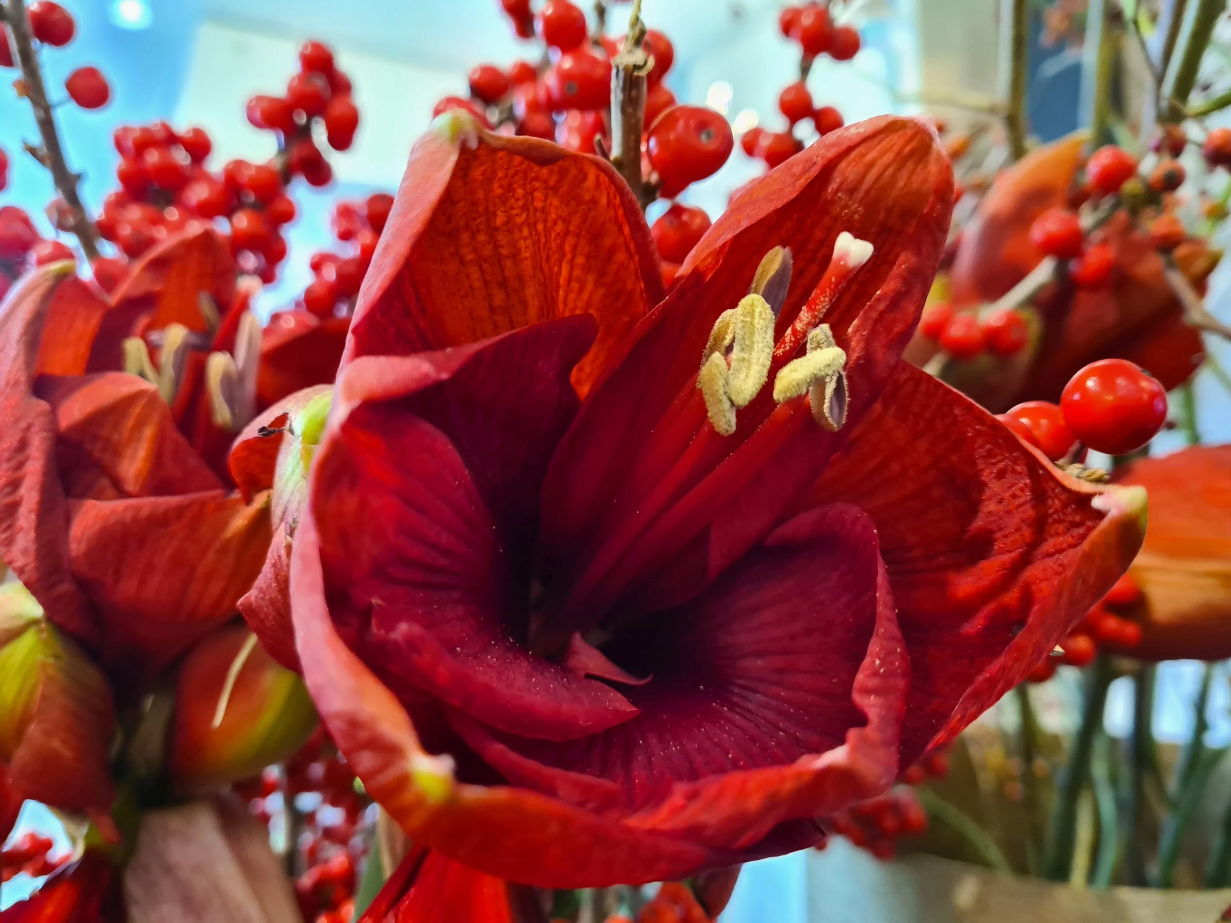 20201212_094643.jpg