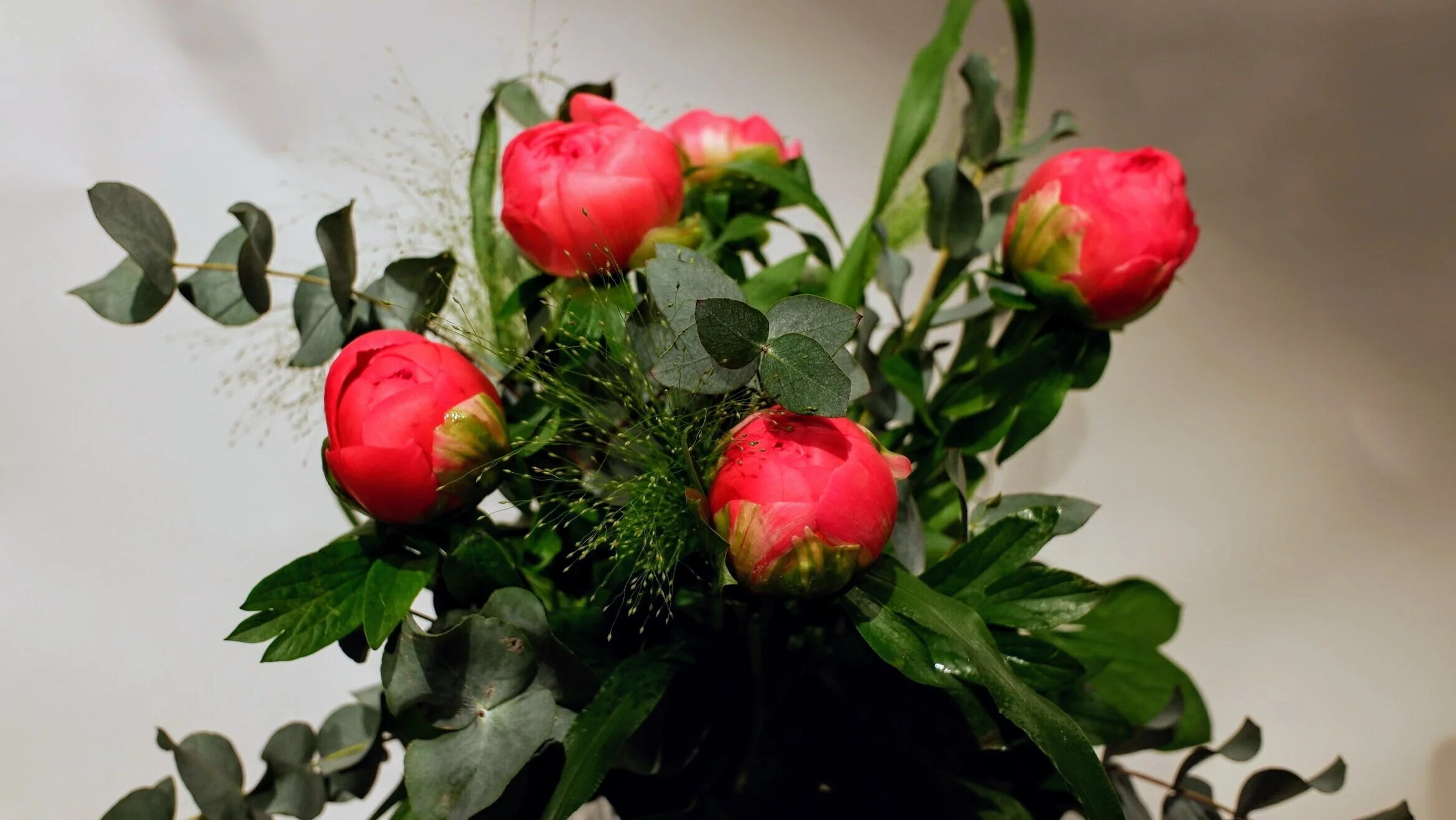 DSCF0064~2 (002).jpg