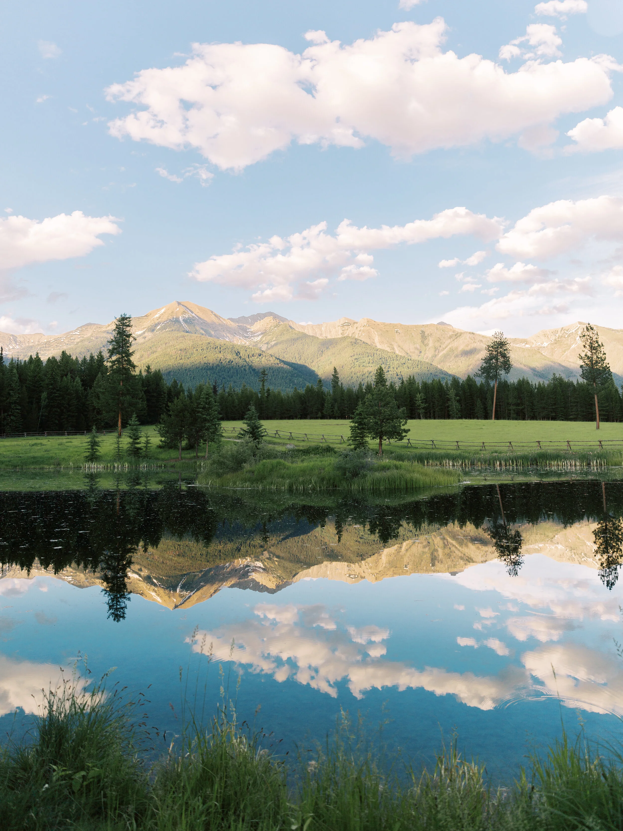 GALLERY — ORO RANCH