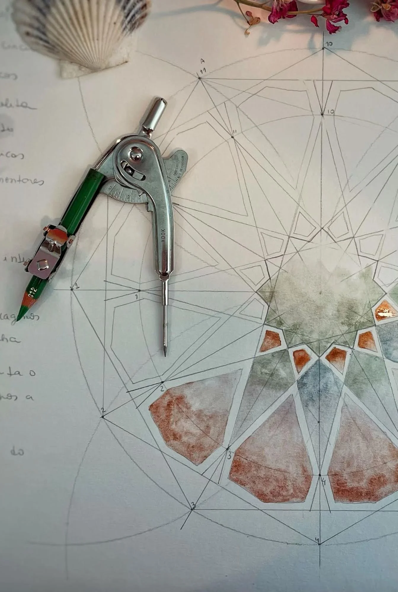 SACRED GEOMETRY WITH CAMILA CATUCCI 