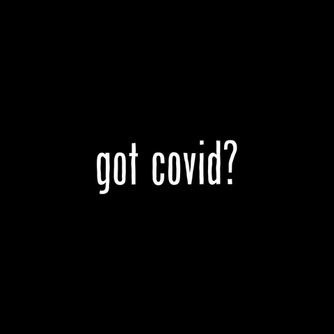 Share on FB | MP4 for IG | GIF for TW