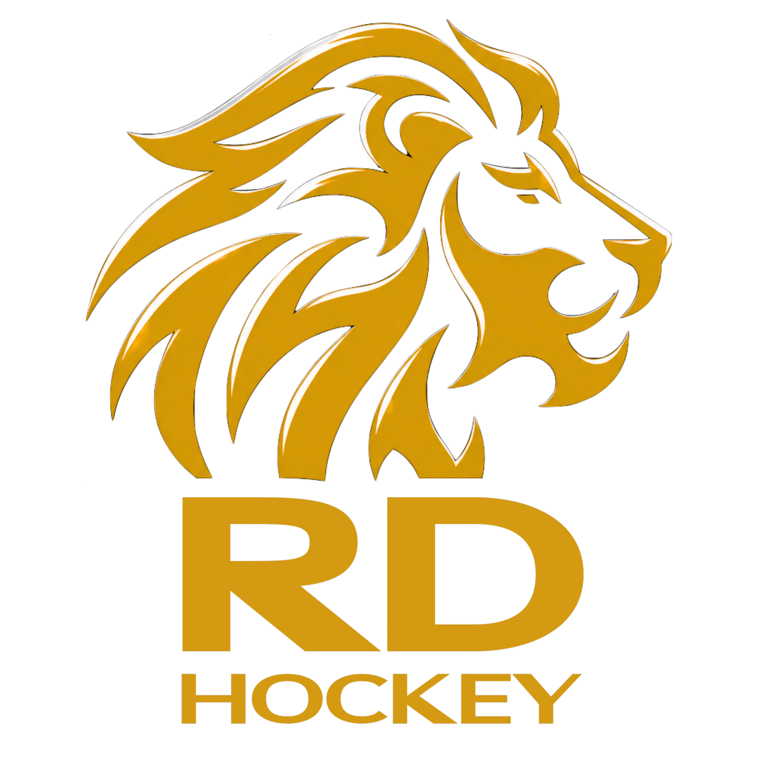 RD HOCKEY
