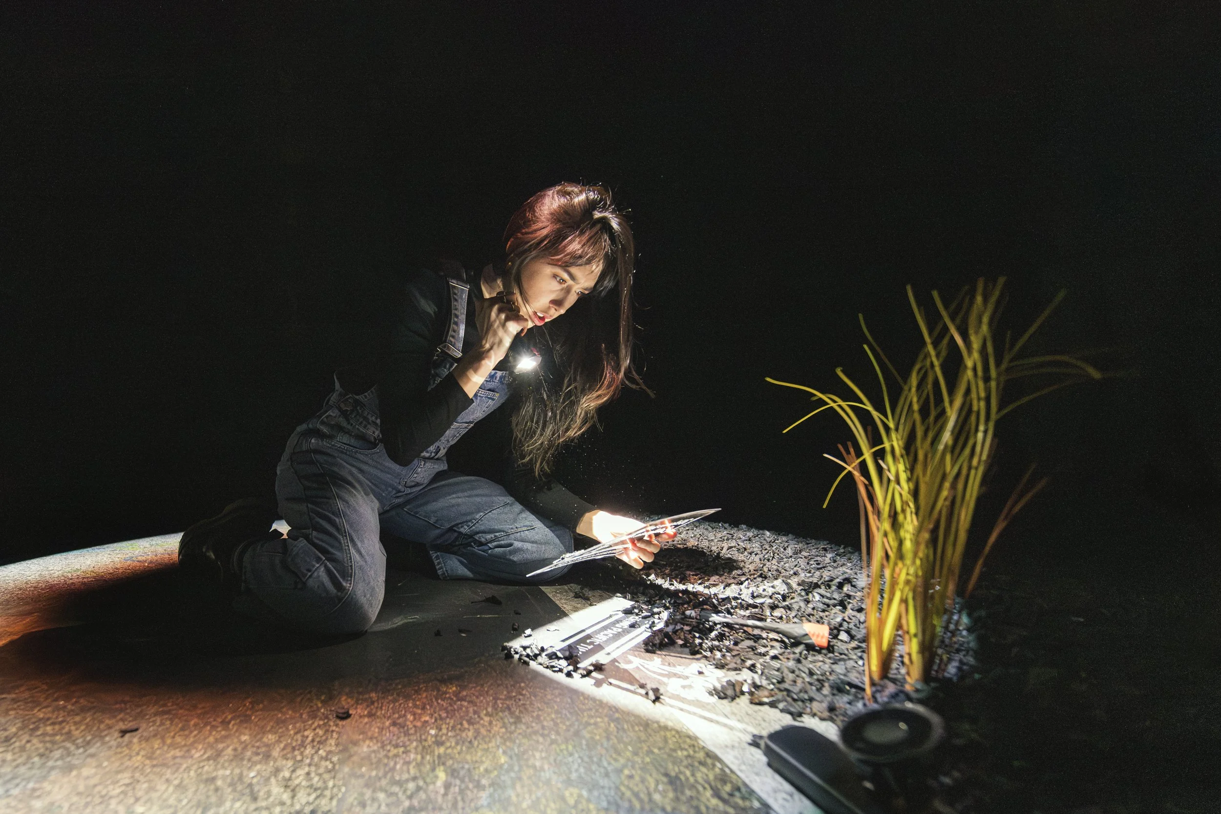 "Racecar Racecar Racecar" Artists Repertory Theatre (photo by Philip J. Hatton)