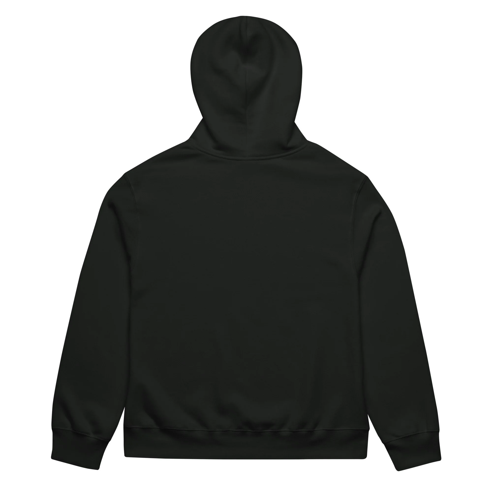 unisex-oversized-heavyweight-hoodie-vintage-black-back-68b05aa93aede.jpg