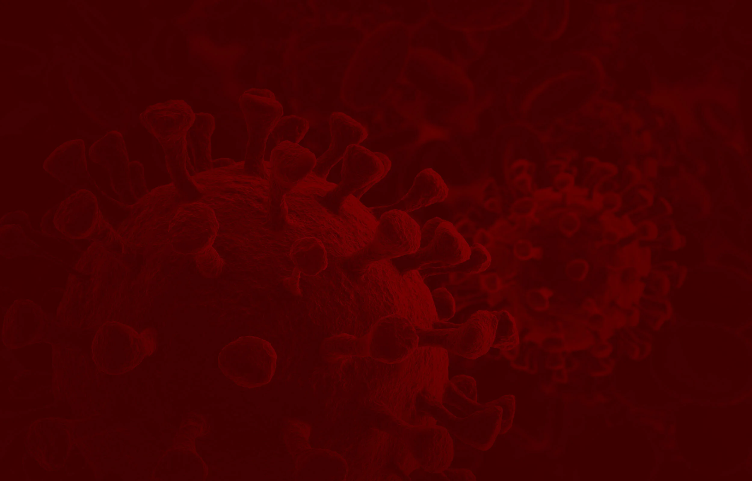red-background-2.jpg