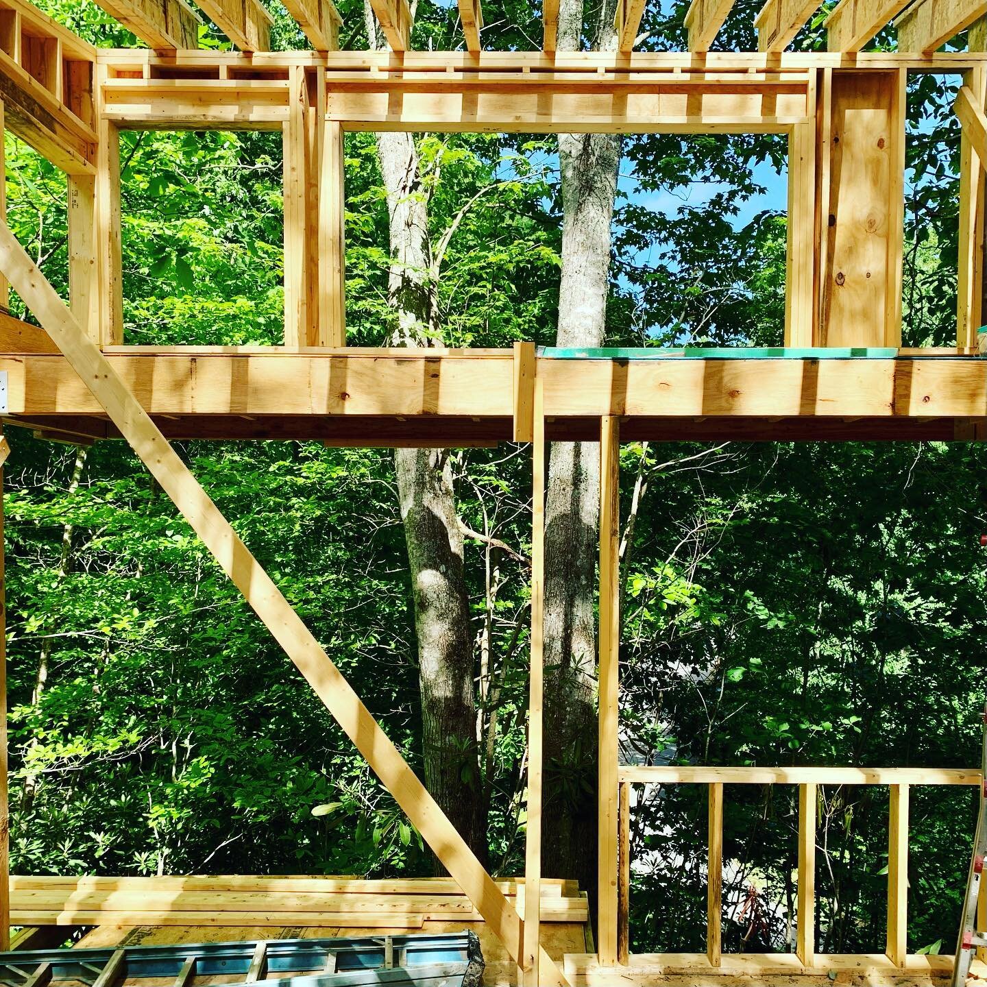 Our small build in High Hickory is taking shape amongst the trees. This auxiliary office is like going to work in a treehouse.