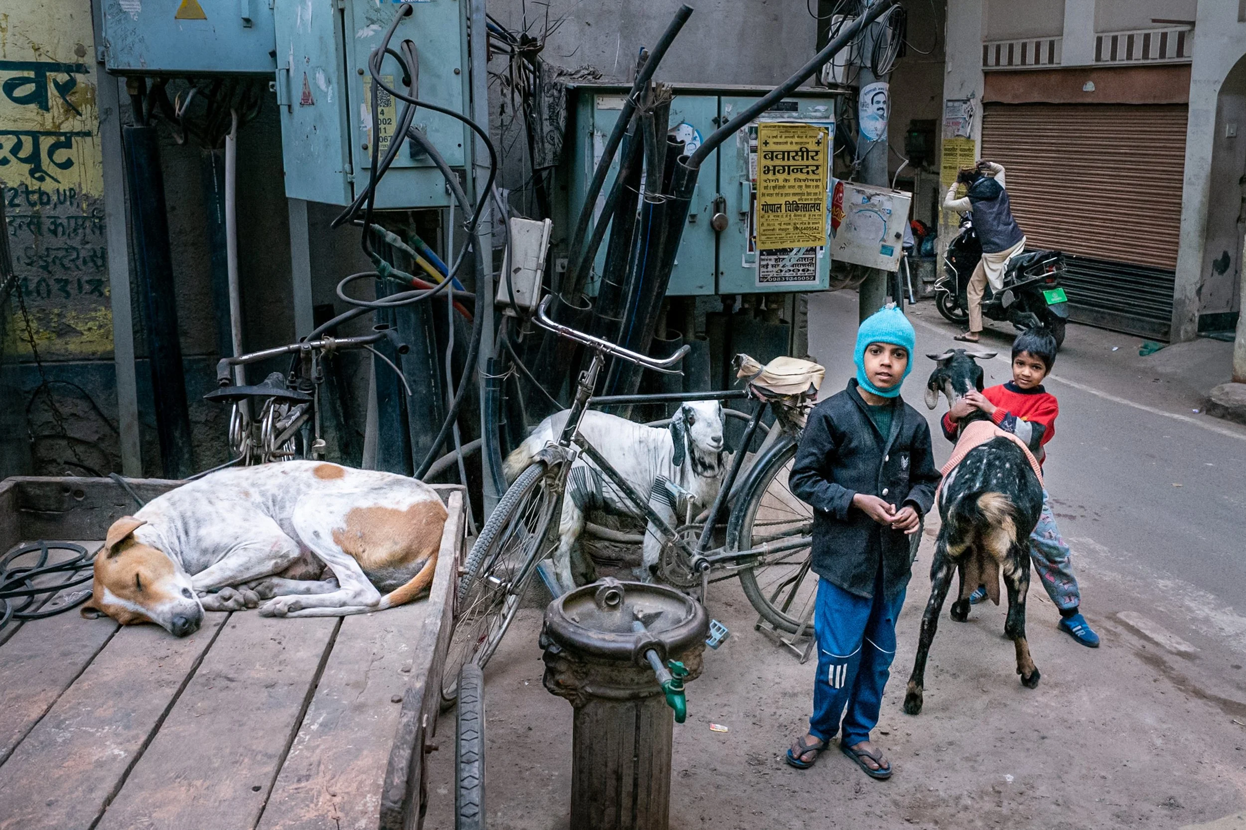 Children, dog and goat in Varanasi