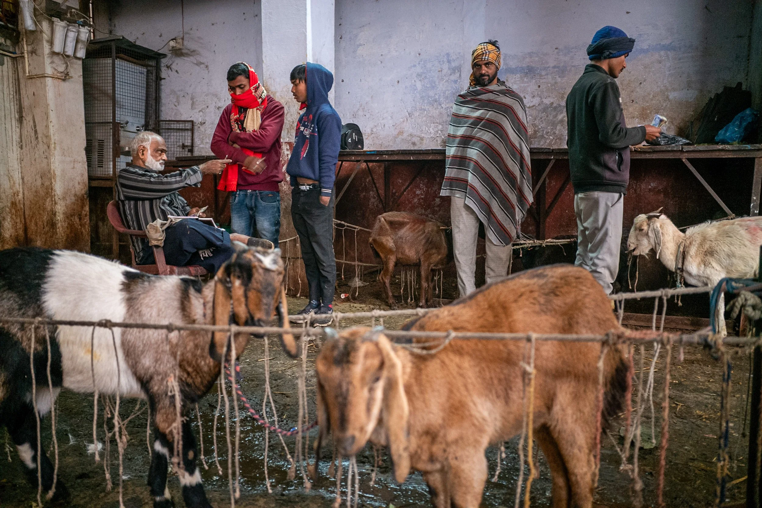 Goat market in Varanasi