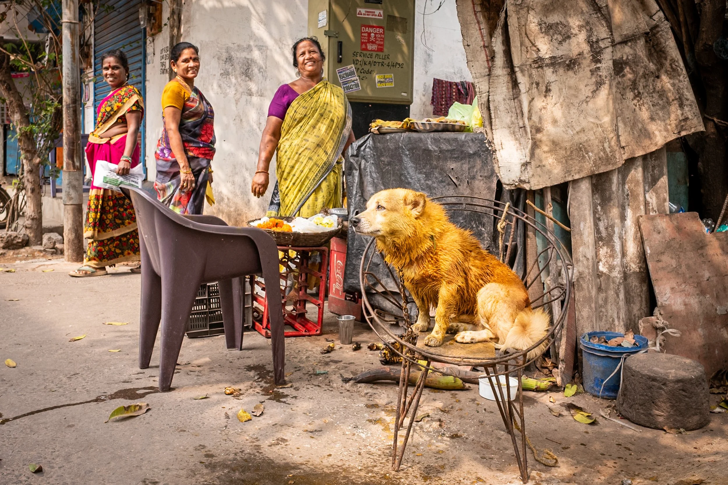 Dog in yellow and women in Visakhapatnam