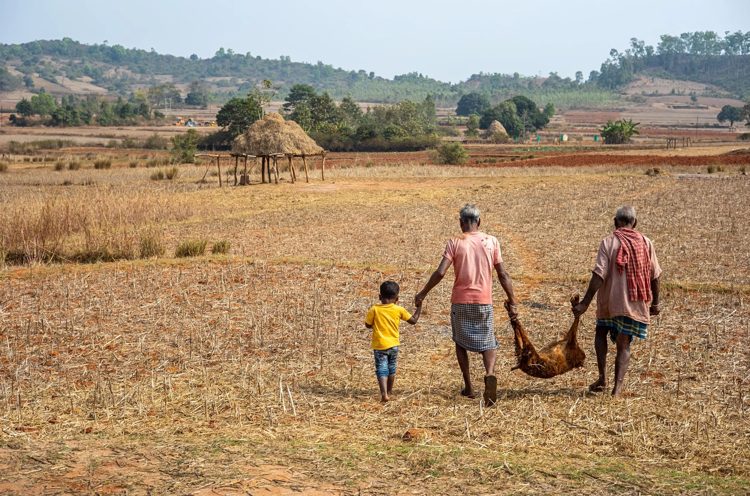 Sacrificed goat carried away by two men and child in Odisha