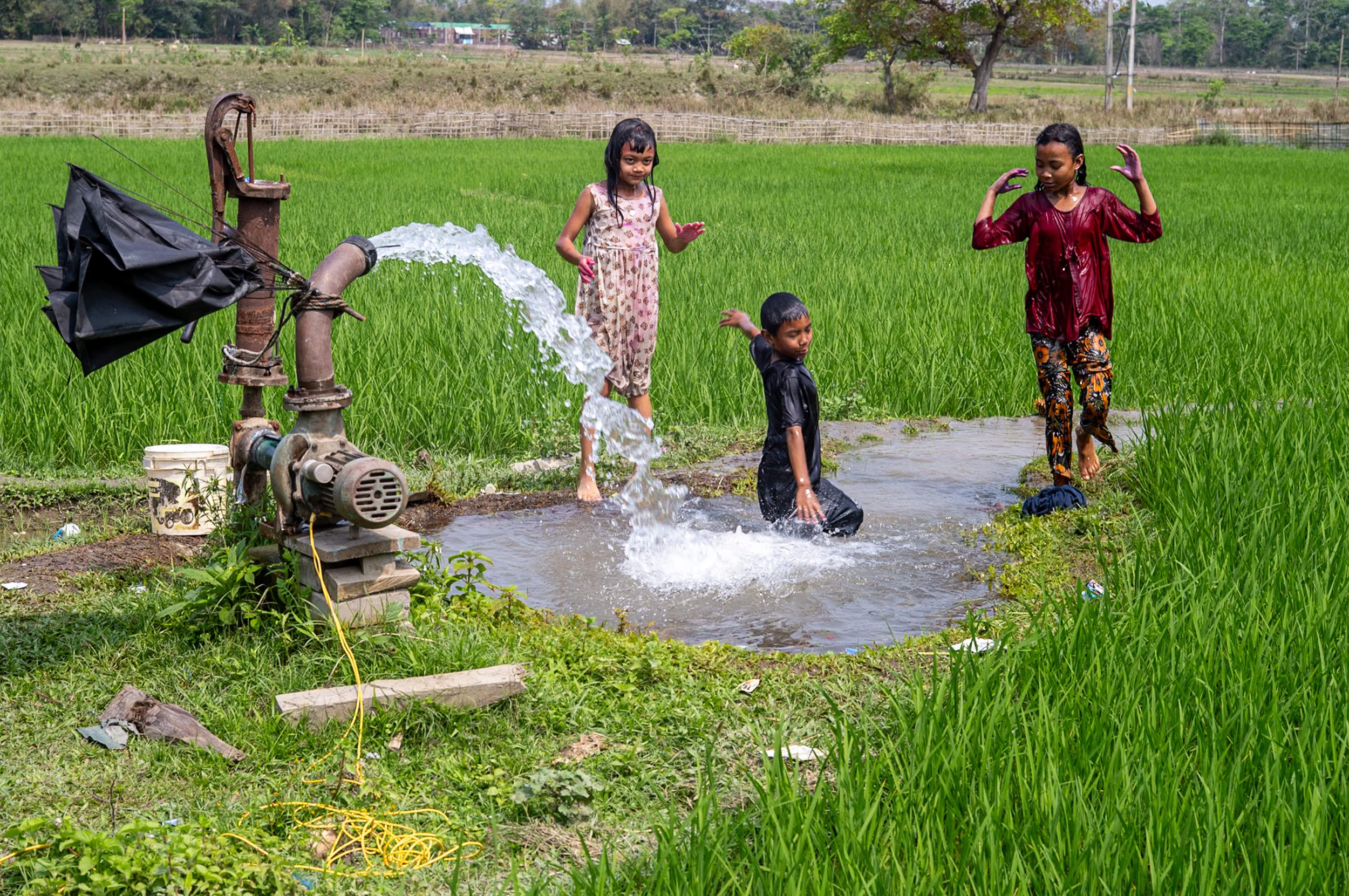 Children playing with fountain in rice paddy in Majuli Island, Assam