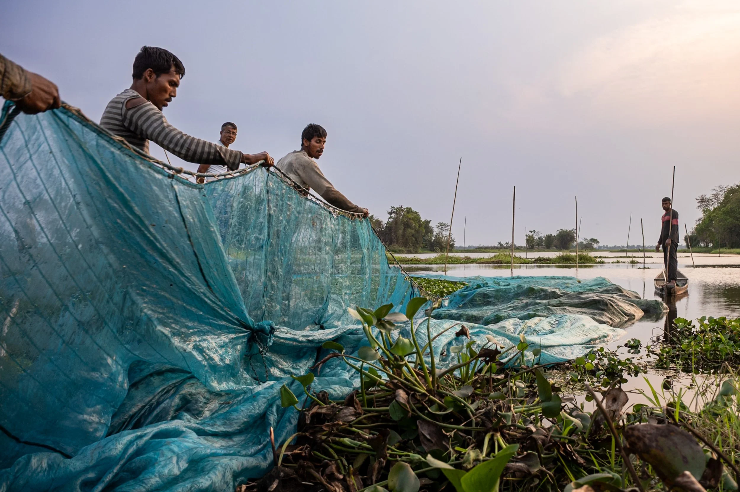 Fishermen gathering nets in Majuli Island, Assam