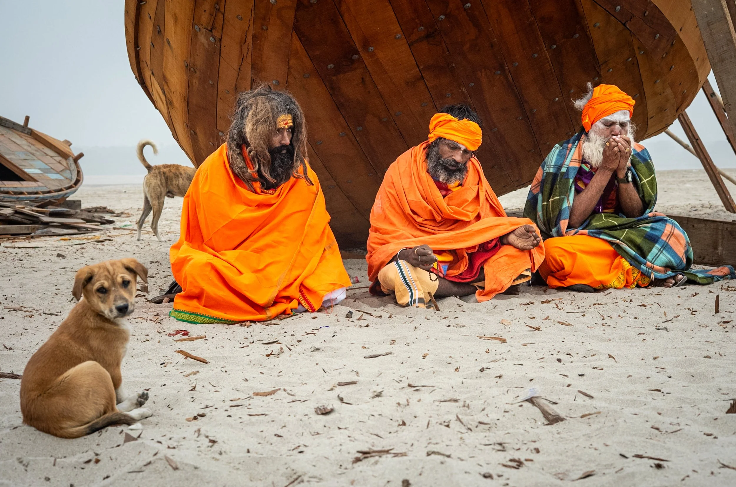 Tree sadhus and two dogs in Varanasi