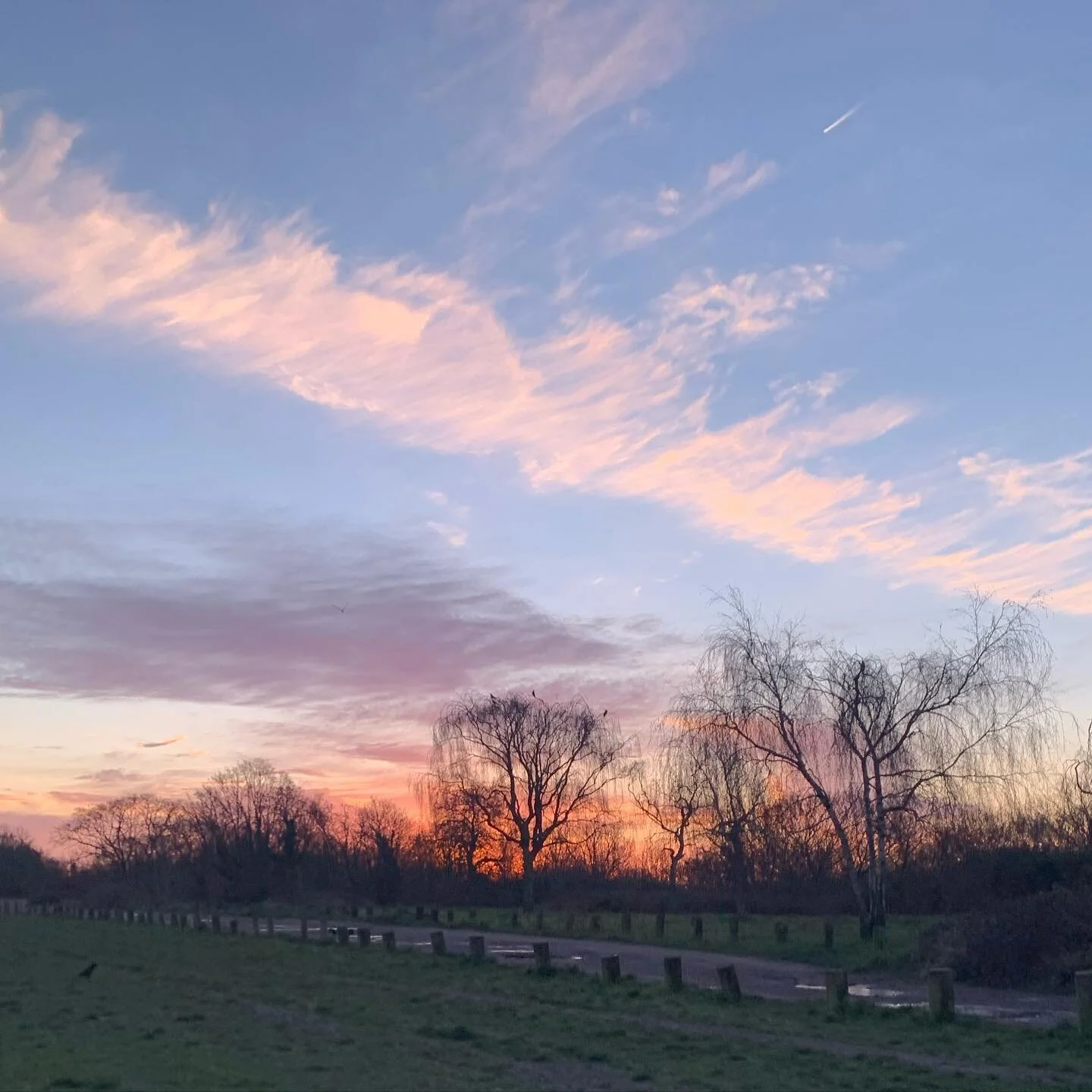 Morning miles 🌤
&bull; 
we absolutely LOVED our first ever Audio Guided Run 🏃🏽&zwj;♀️ at 10am we connected online for mobility, activation and a steady run 🌈 what an incredible way to start a Sunday! 
&bull;
Thank you to everyone who joined us 🤗