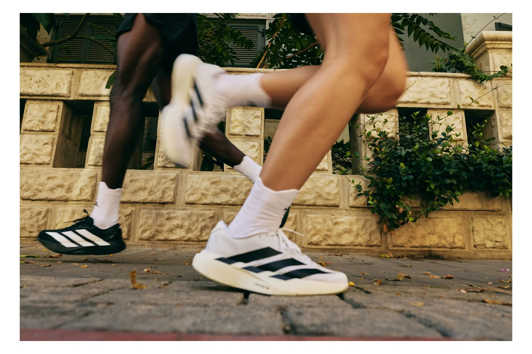 copy ADIDAS SS:259.jpg