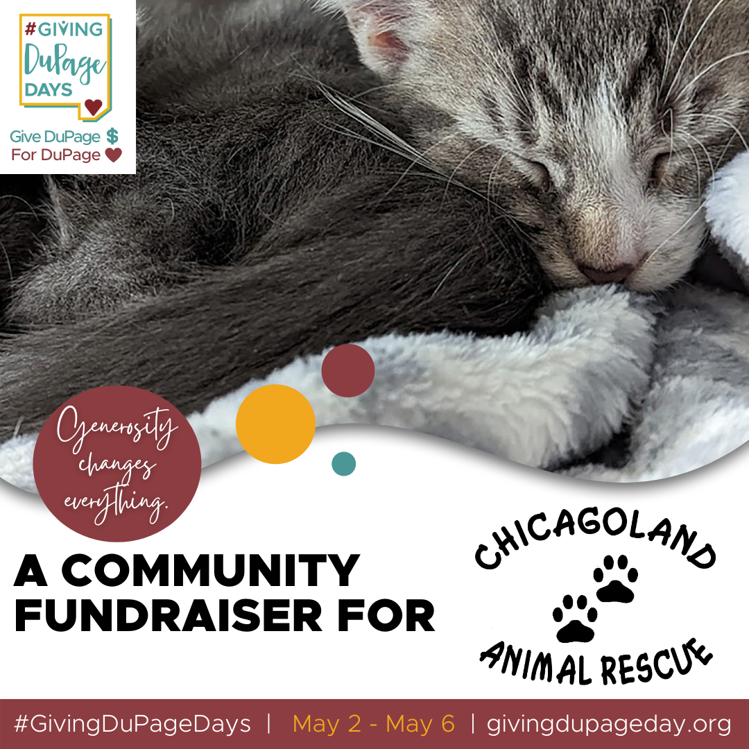 Giving DuPage Days Fundraiser!