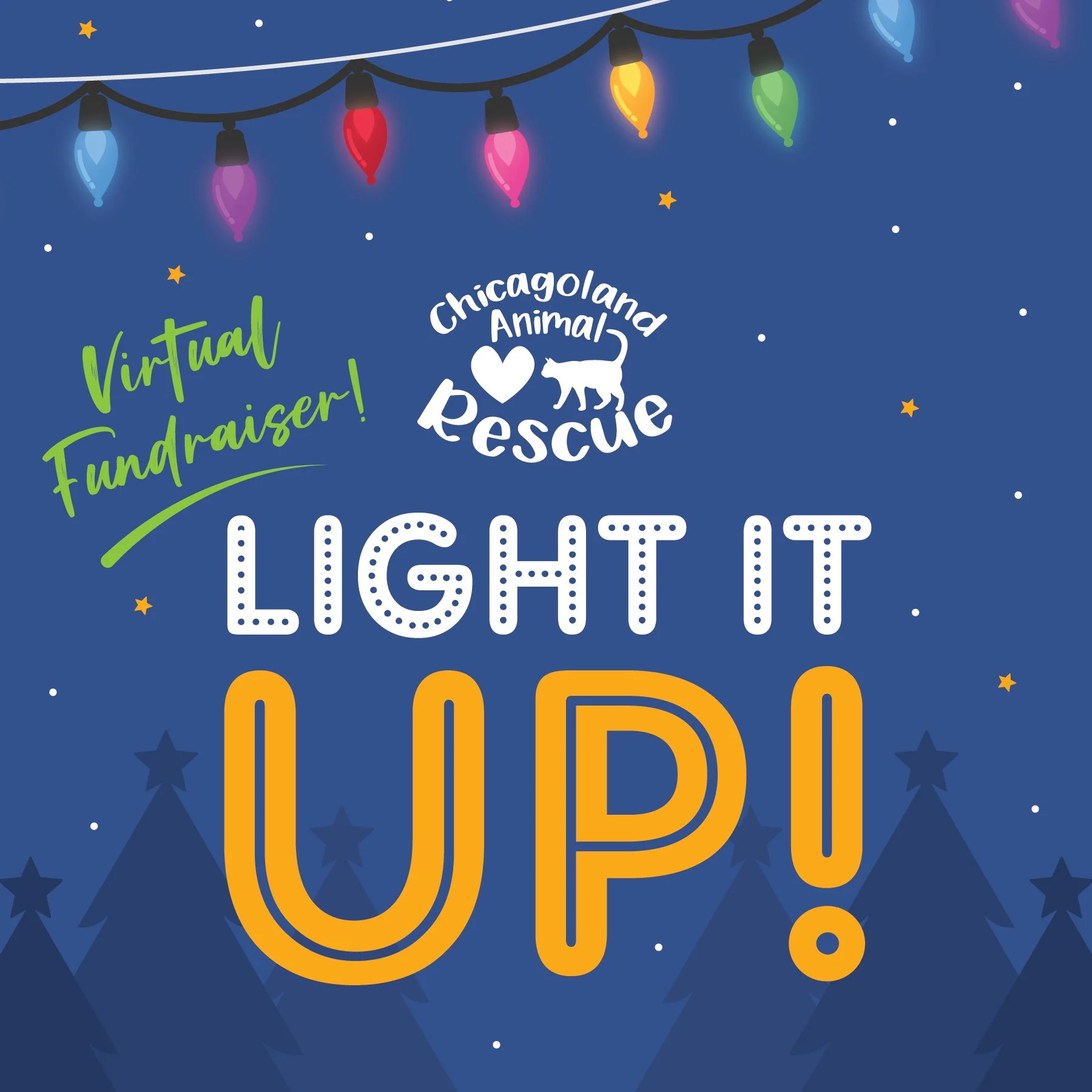 Light Up the Holidays