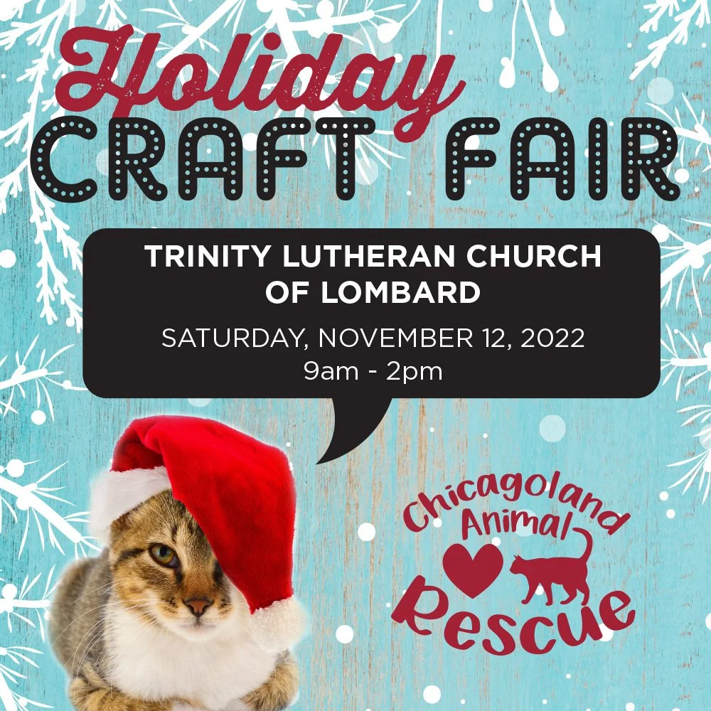 C.A.R. Craft Sale &amp; Raffle