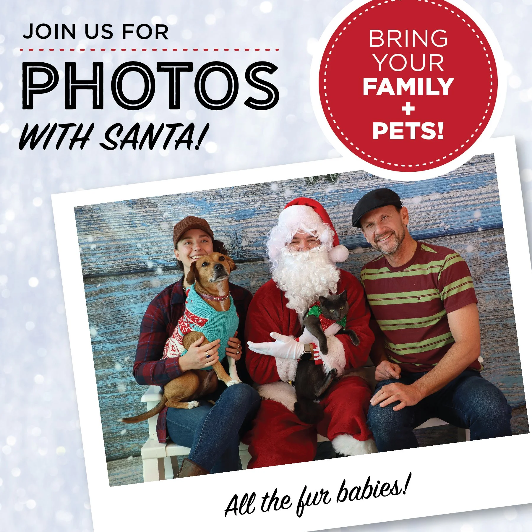 Capture the Holiday Spirit: CAR's Pictures with Santa Fundraiser