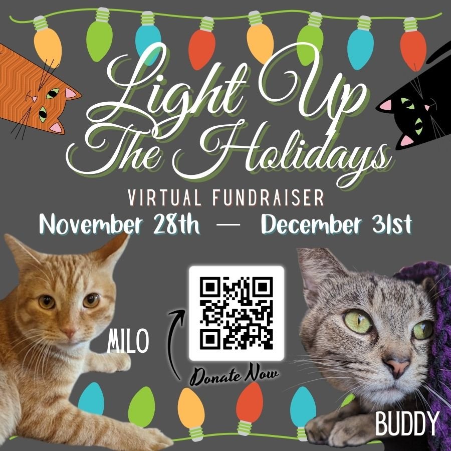 Light Up the Holidays virtual fundraiser