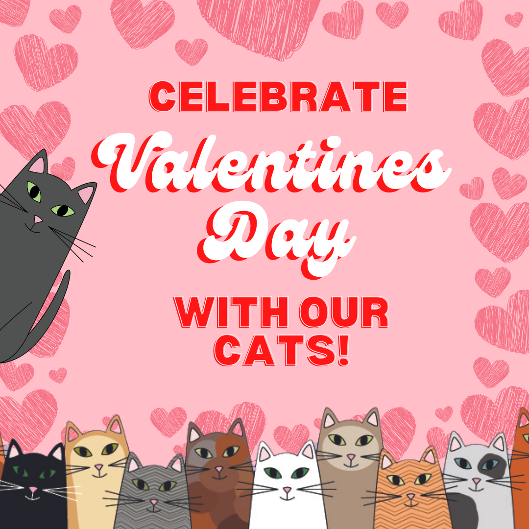 Valentines are Back!