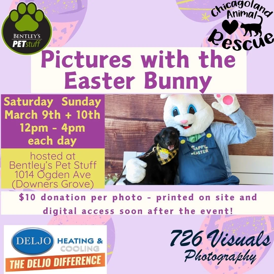 Pictures with the Easter Bunny 2024