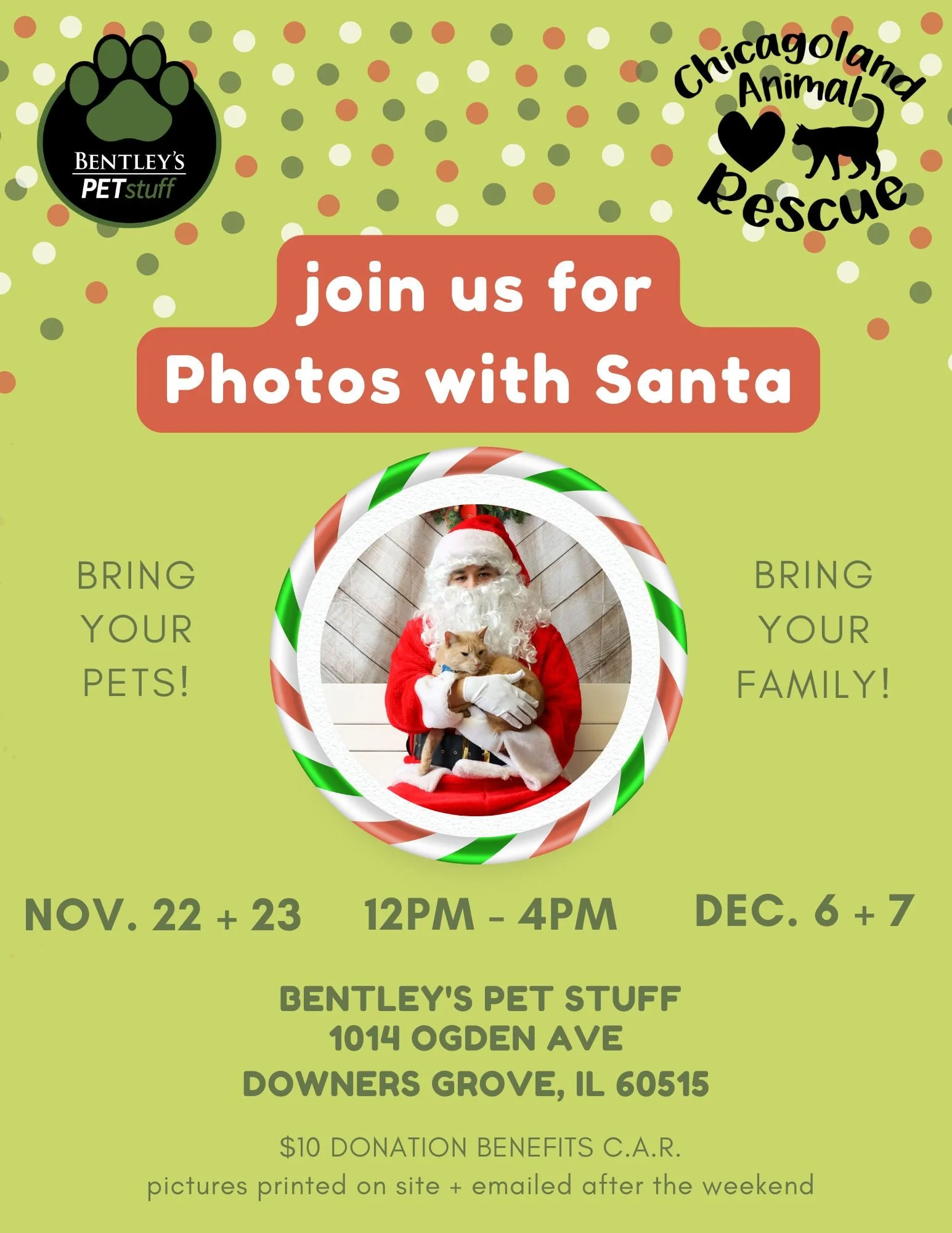 Get Ready for Photos with Santa at Bentley’s Pet Stuff!