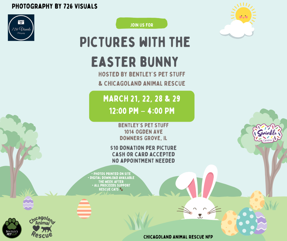 Pictures with the Easter Bunny