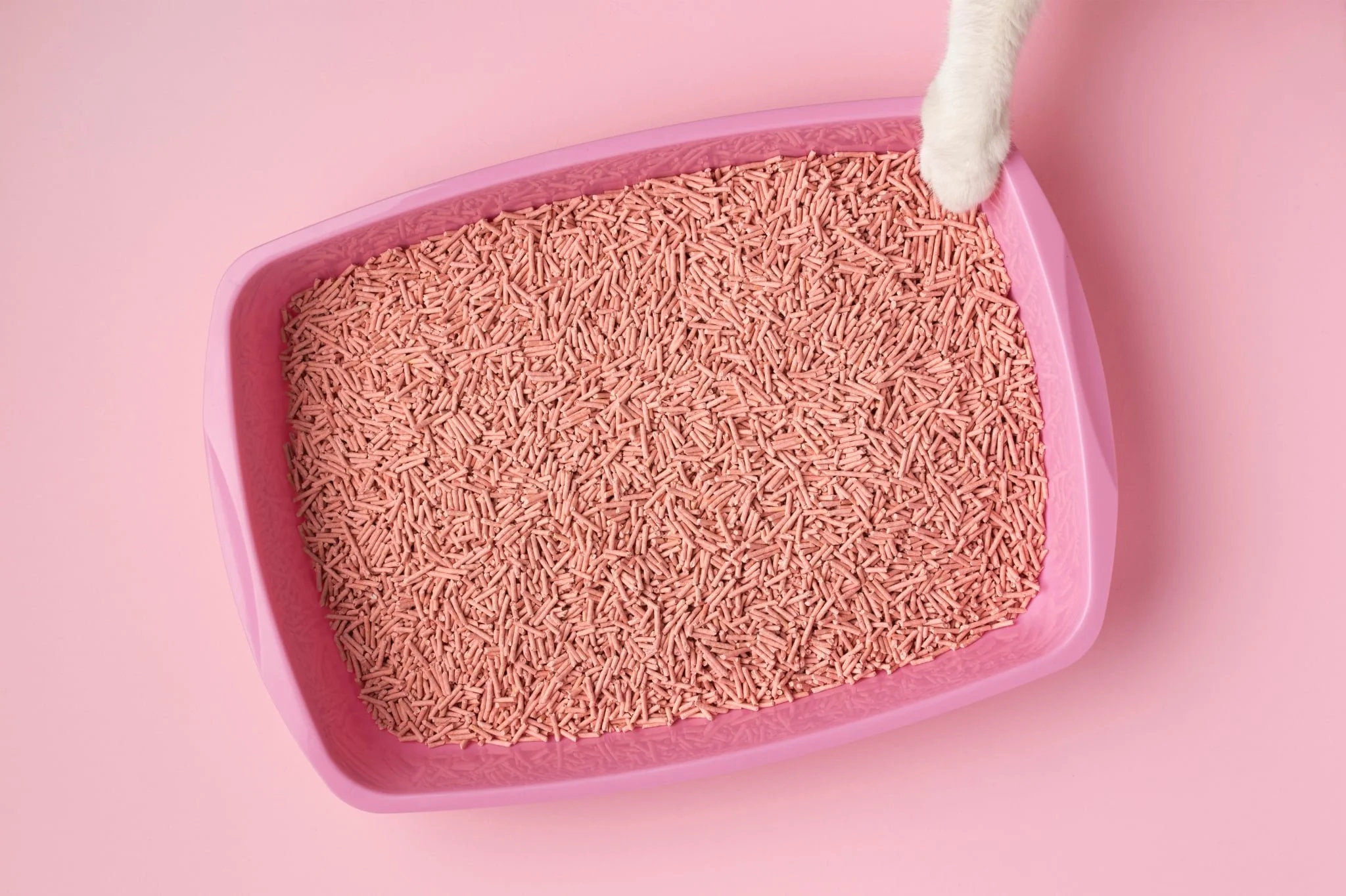 image is a pink litter box on a pink background, with pink pellet litter inside. a white cat paw is in the corner of the box