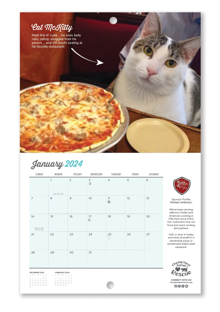 2024 C.A.R. Calendar for Sale NOW! — Chicagoland Animal Rescue NFP