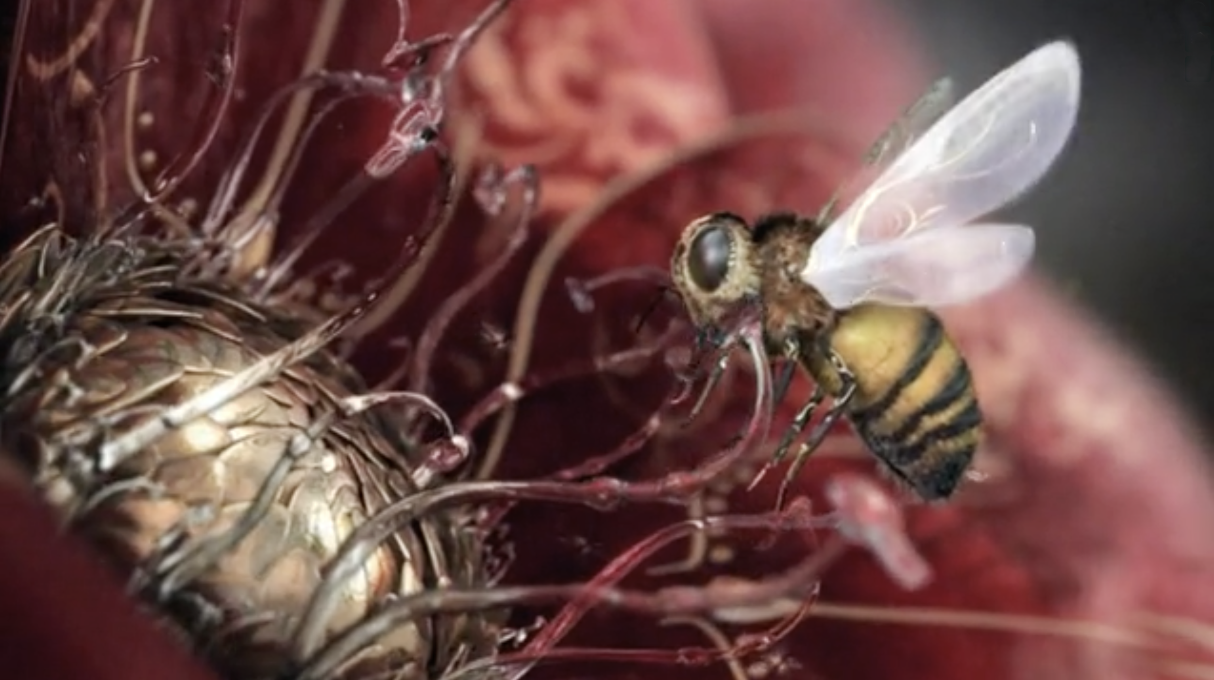 Screen Shot 2020-04-07 at 5.12.11 PM.png